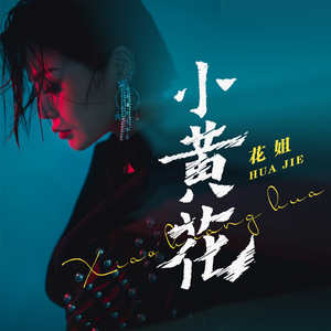 网址你知道我的意思的免费
